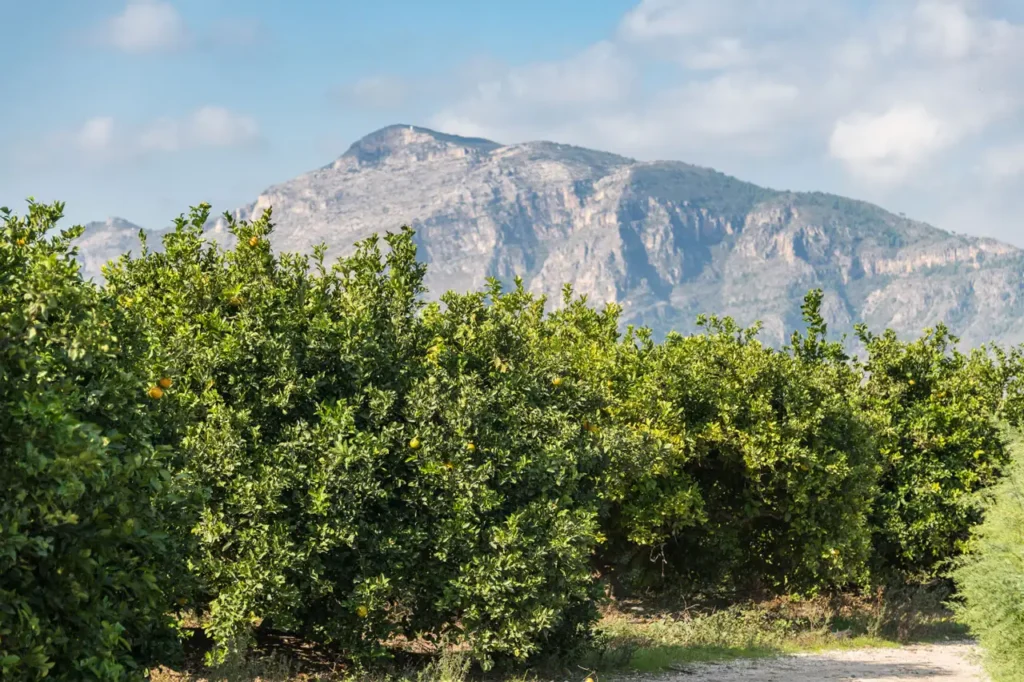 La Vall de la Valldigna