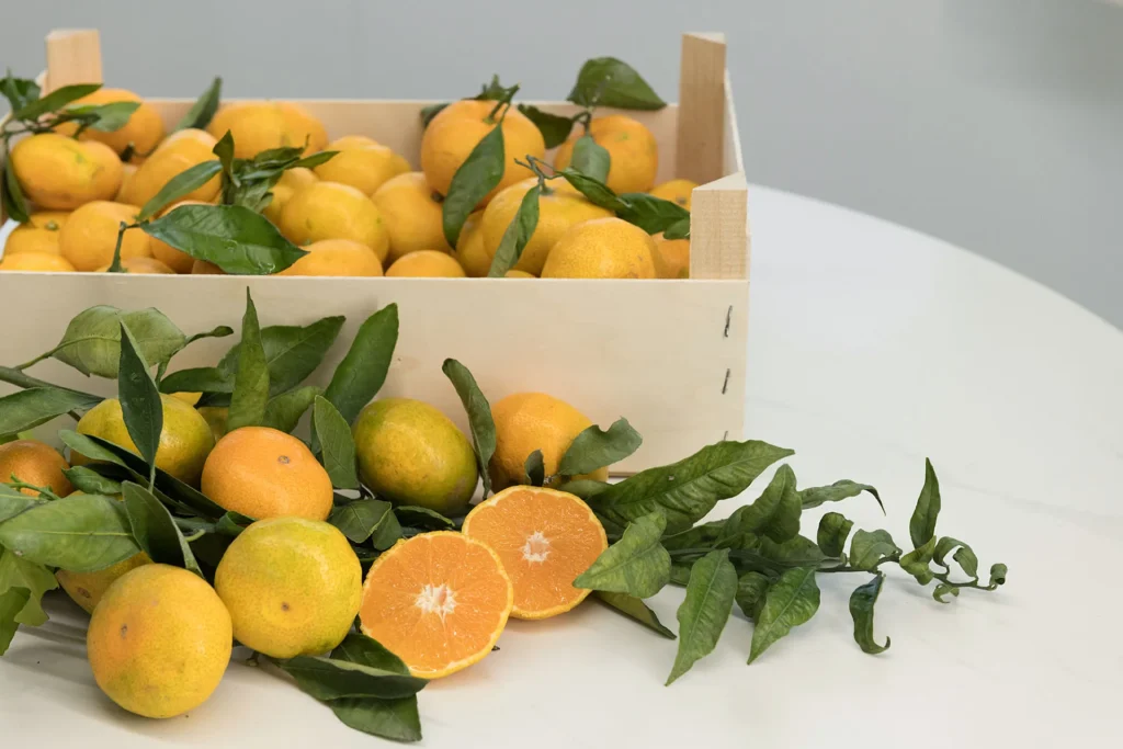 Mandarina Okitsu Ecológica